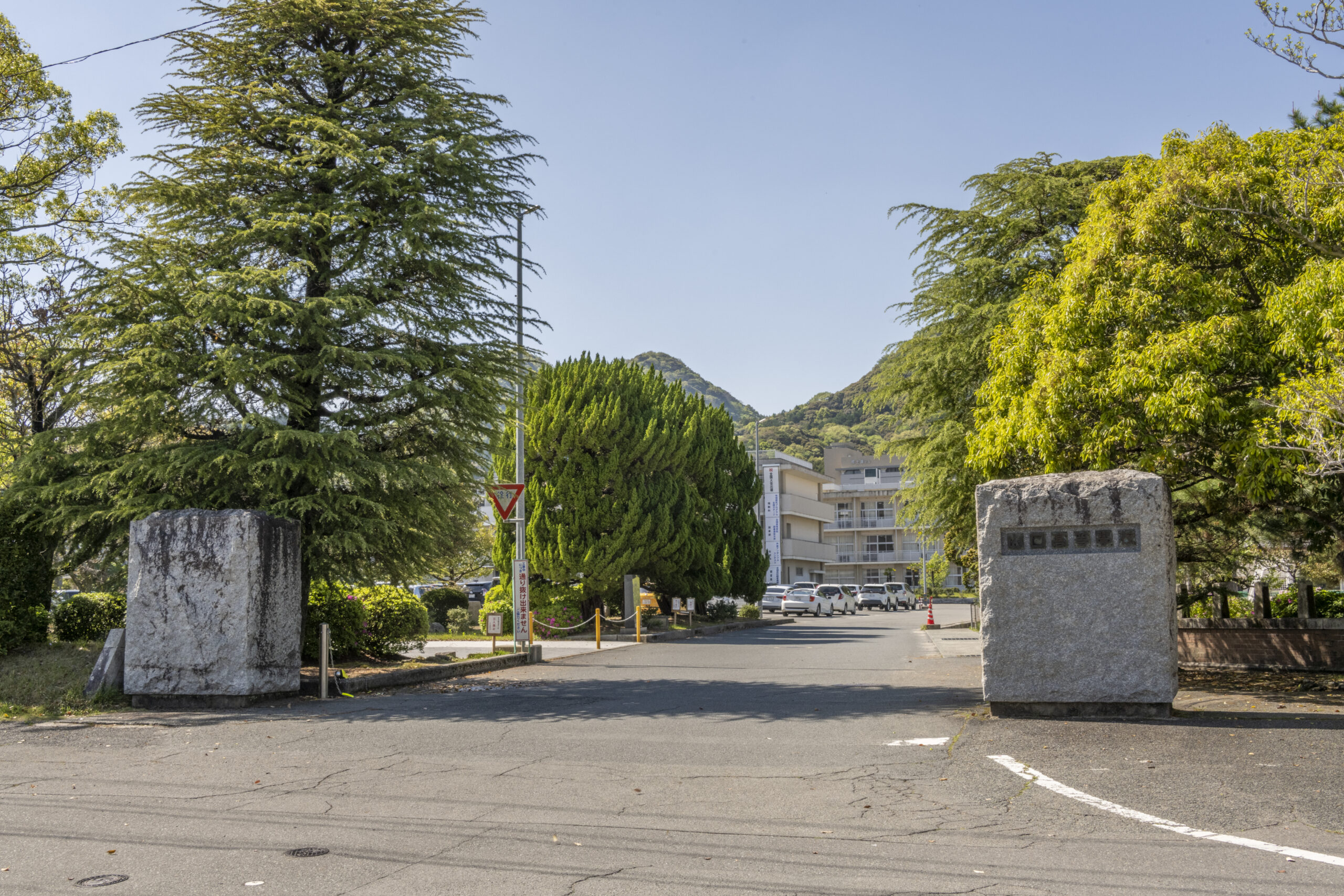 山口高等学校